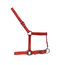 CABEZADA DE NYLON TAMAÑO POTRO CON 2 HEBILLAS Marjoman Distribution comprar equipación equitación España
