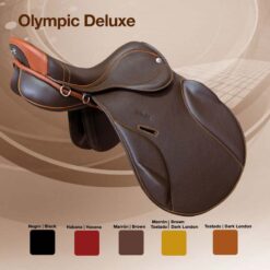 SILLA ZALDI USO GENERAL OLYMPIC DELUXE - Asiento: 18
