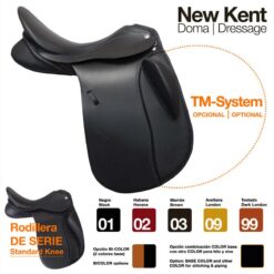 SILLA ZALDI DOMA NEW KENT con TM - Asiento: 18