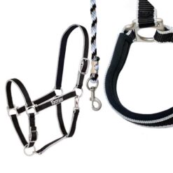 CABEZADA TATTINI CON ACOLCHADO Tattini comprar equipación equitación España