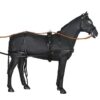 Negro-Riendas avellana
