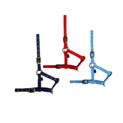 CABEZADA DE CUADRA EN NYLON DE POTRO Tattini comprar equipación equitación España
