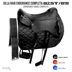 SILLA RAID ENDURANCE AZST 819 COMPLETA - Color: Negro