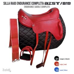 SILLA RAID ENDURANCE AZST 819 COMPLETA - Color: Rojo