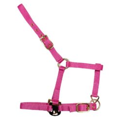 Alternative view of Cabezada de nylon para potro Deluxe