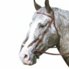 CABEZADA MONTAR WESTERN SIDEPULL -