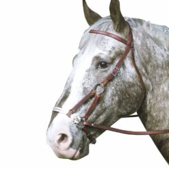 CABEZADA MONTAR WESTERN SIDEPULL -