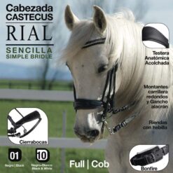 CABEZADA CASTECUS RIAL SENCILLA - Color: Negro