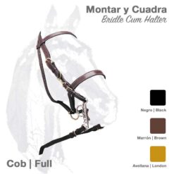CABEZADA CUADRA MONTAR CUERO 1592 - Color: Negro