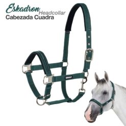 CABEZADA CUADRA ESKADRON 430001 816 - Color: Verde