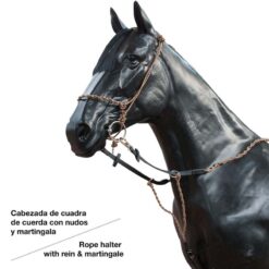 CABEZADA CUERDA CON MARTINGALA 497048P -