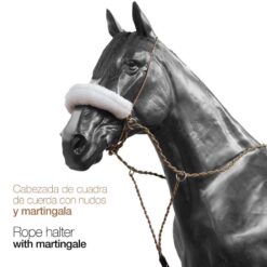 CABEZADA CUERDA CON MARTINGALA 497049P -