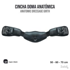 CINCHA DOMA ANATOMICA AZG 552 - Color: Negro