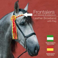 FRONTALERA PARA CABEZADA PRESENTACIÓN - Color: Verde/Blanco