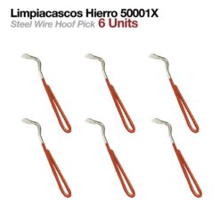 LIMPIACASCOS HIERRO 50001X  6uds -