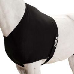 PROTECTOR ESKADRON PARA PECHO 313000 240 290 NEGRO -