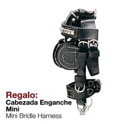 REGALO CABEZADA ENGANCHE MINI -