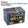 PASTOR: PILA MODELO FORZZA 9V 365W ALCALINA -