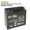 PASTOR: PILA MODELO Z-A/2 12V 17A/H -