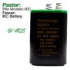 PASTOR: PILA MODELO IEC 6V 4R25 -