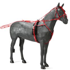 ENGANCHE DASLO PARA TROTON PVC QUICK HITCH Tattini comprar equipación equitación España