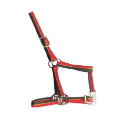 CABEZADA DE NYLON TAMAÑO POTRO CON 2 HEBILLAS Marjoman Distribution comprar equipación equitación España