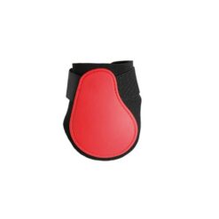 PROTECTOR DE MENUDILLO TATTINI Tattini comprar equipación equitación España