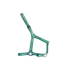 CABEZADA DE NYLON SENCILLA Marjoman Distribution comprar equipación equitación España