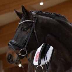 Cabezada para filete Kieffer Lina Kieffer comprar equipación equitación España