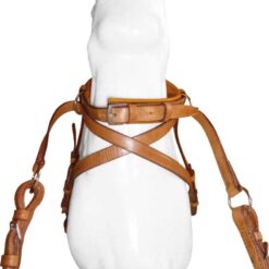 Alternative view of BITLESS BRIDLE MARJOMAN MODELO VICTORIA