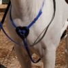 Azul royal