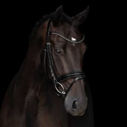 Cabezada para filete Kieffer Grace Kieffer comprar equipación equitación España