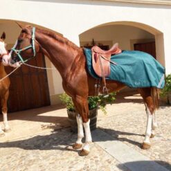 Manta riñonera impermeable con forro polar Marjoman Distribution comprar equipación equitación España