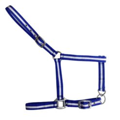 CABEZADA DE NYLON SENCILLA Marjoman Distribution comprar equipación equitación España