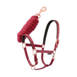 Conjunto cabezada + ramal Daslö Gold Tattini comprar equipación equitación España