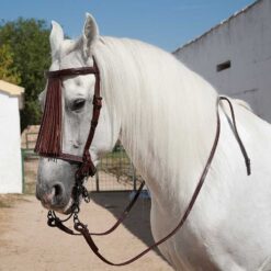 CABEZADA MARJOMAN ESPAÑOLA ALOMADA PIÑA CUERO CON RIENDAS Marjoman comprar equipación equitación España