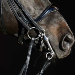 Alternative view of Cabezada de doble rienda Kieffer Ultrasoft Amy