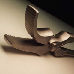 Alternative view of TENAZA REMACHAR ICAR DRAGON QUARTER HORSES