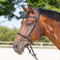 Cabezada Kieffer bitless bridle Ultrasoft Kendra Kieffer comprar equipación equitación España