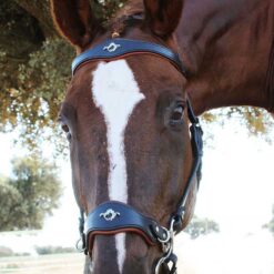 Alternative view of CABEZADA MARJOMAN HACKAMORE SIN RIENDAS