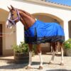 Azul royal