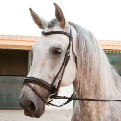CABEZADA DE CUERO INGLÉS CON FRONTALERA CURVADA Marjoman Distribution comprar equipación equitación España