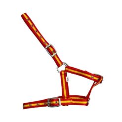Cabezada de nylon para potro Marjoman Distribution comprar equipación equitación España