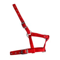 Cabezada de nylon para potro Marjoman Distribution comprar equipación equitación España