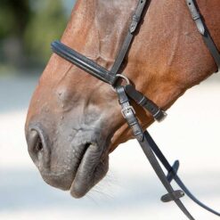 Alternative view of Cabezada Kieffer bitless bridle Ultrasoft Kendra