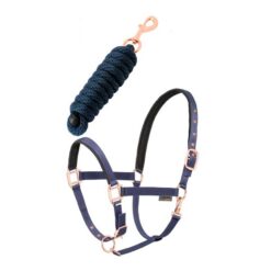 Conjunto cabezada + ramal Daslö Gold Tattini comprar equipación equitación España