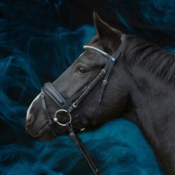 Cabezada Kieffer Essentials Lara con brillantes Kieffer comprar equipación equitación España