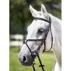 CABEZADA TATTIN CON MUSEROLA CRUZADA Tattini comprar equipación equitación España