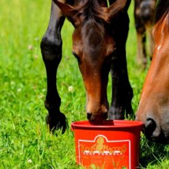 Alternative view of KEVIN BACON'S HOOF FORMULA