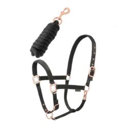 Conjunto cabezada + ramal Daslö Gold Tattini comprar equipación equitación España